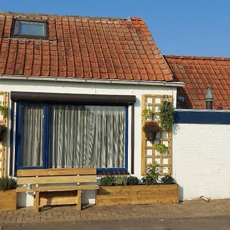 Schrijvershuisje - Sfeer & Stilte Zeeuws Vlaanderen Zaamslag 외부 사진